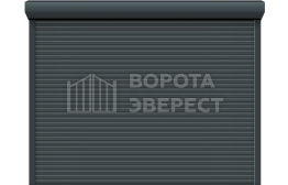 Рулонные ворота 2100×2300 с калиткой ВЭ-1989